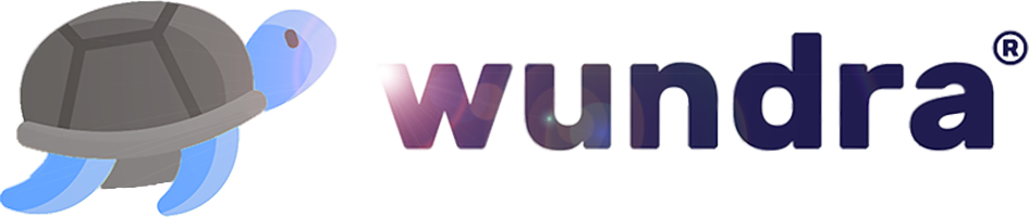 Wundra's blue turtle company logo